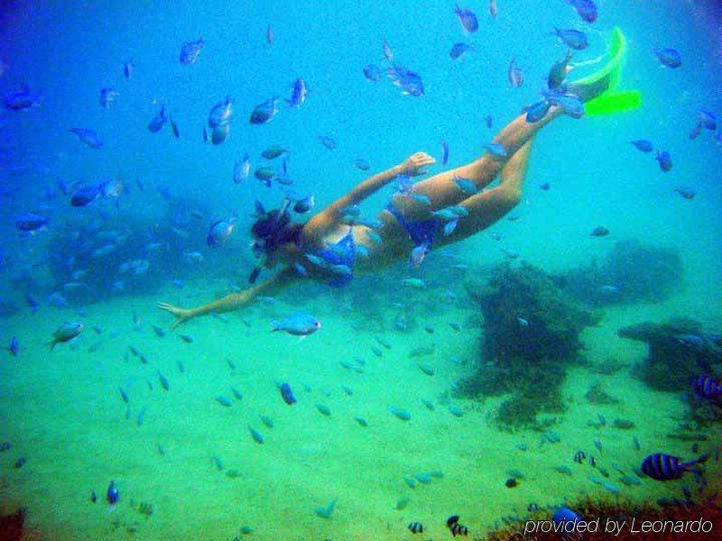 Coralview Island Resort Tavewa Island Dış mekan fotoğraf