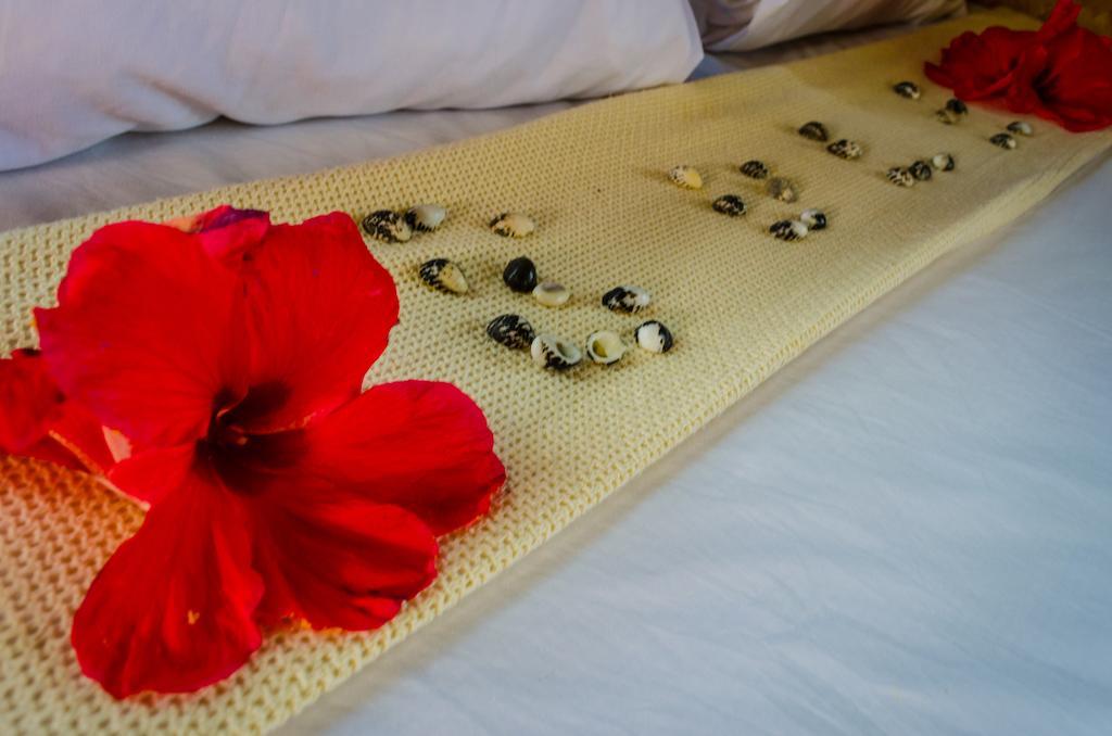 Coralview Island Resort Tavewa Island Dış mekan fotoğraf